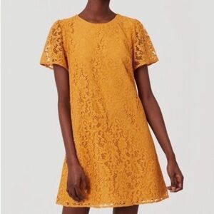 LOFT - Lace Shift Dress